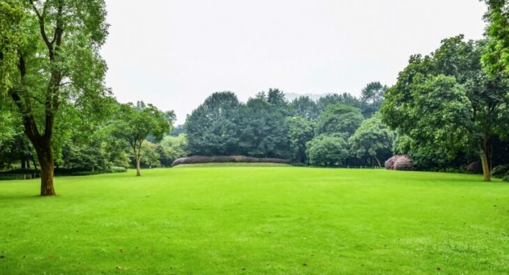 Zmień swój ogród w zieloną oazę bez wysiłku! Poznaj tajemnicę systemu nawadniania