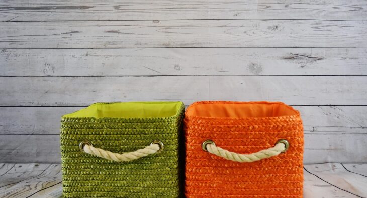 Revolution im Wildmanagement: Flexible mobile Wildkammern – Können sie das Spiel wirklich verändern?